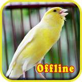 com.althaflabs.kicau.master.burung.kenari.ngeroll.suara.burung.kenari.mp3