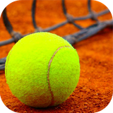 ir.tinasoft.tennis