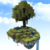 com.pixel2pixel.skyblocks.minimaps