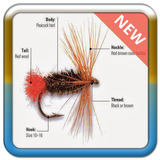 com.fishingtechniqueidea.pinaozora