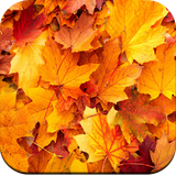 com.hd.autumnwallpaper.backgrounds.autumn.wallpapers.nicewallpaper