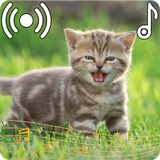 com.appsocean.catsounds