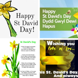 com.techzit.stdavidsday