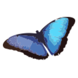 com.excelatlife.depression