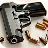 com.amazinglwp.gunslwp1