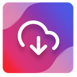 com.intellvold.inesdownloader