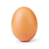 com.Studio17.IncredibleEgg