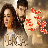 filmnet.torki.tardid