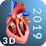 com.visual3dscience.heartpro