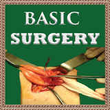 com.paradigmsc.basicsurgery