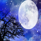 com.mohammad.kalantari.mrsrelaxation