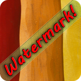 evansir.camerawatermark
