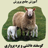 ir.toyoorkadeh.sheepb