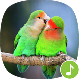 io.appp.sounds.lovebird