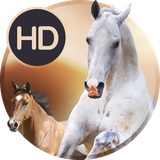 com.goodwallpapers.animals_4k