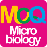 com.mohmicro.bm_mcqprogram