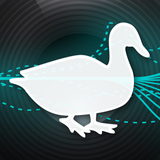 com.wfr.duck_calling