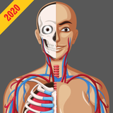 af.anatomy.guide