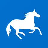 gg.pony