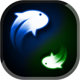 com.bravo.yin.yang.lwp