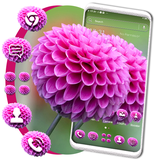 designs.dahlia.flower.theme