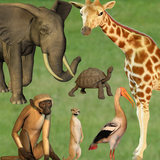 de.abramedia.zoo