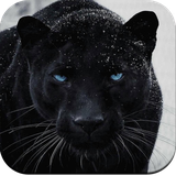 com.blackpantherwallpaper.pantherimage.blackpantherblackgroundwallpaper