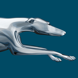 com.greyhound.mobile.consumer