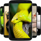 com.snakewallpaper.bullandro