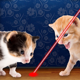 com.astrologicmedia.catpointer