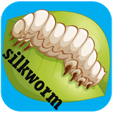 silkwormpv.prvaresh.any1