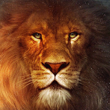com.spapian.lionwallpapers