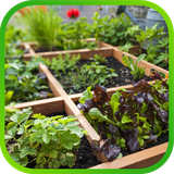 ir.tinasoft.gardening_flowers_vegetables_s