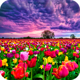 com.acs.flowerfields.free