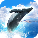 com.iprope.whalefree