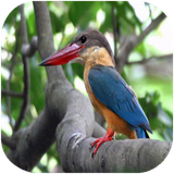 didar.parandeganeoganda