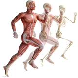 iran.kamranjan.danestanihabedan