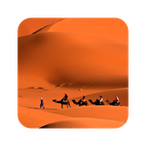 com.hd.desertwallpaper.desert.camel.sky.images.wallpapers