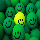 ir.live.happy