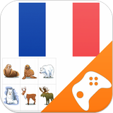 french.funny.game.vocabulary.word