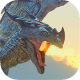 com.TM.DragonSimulator