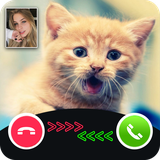 fakecall.catgame.catvideocall.catcalling