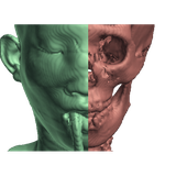 com.Mk.CTScanViewer3D
