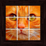 ru.puzzleskeyrungames.cats