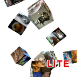 com.makarovsoftware.android.flyingphotoslite