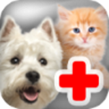 com.sysasoft.petvetdoctor