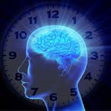 ir.saate.beulojeke.badan.d