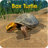 com.box.turtle.simulator