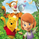 ir.ir.tigerpooo