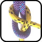 ragonsoft.knotsvideoguidetrail